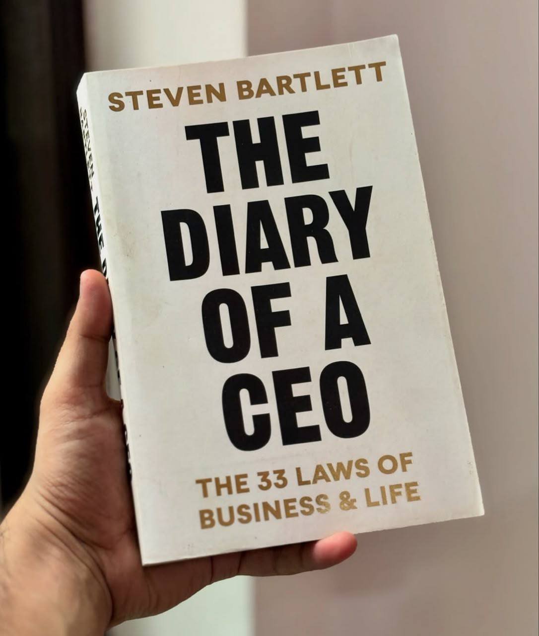The Diary of a CEO