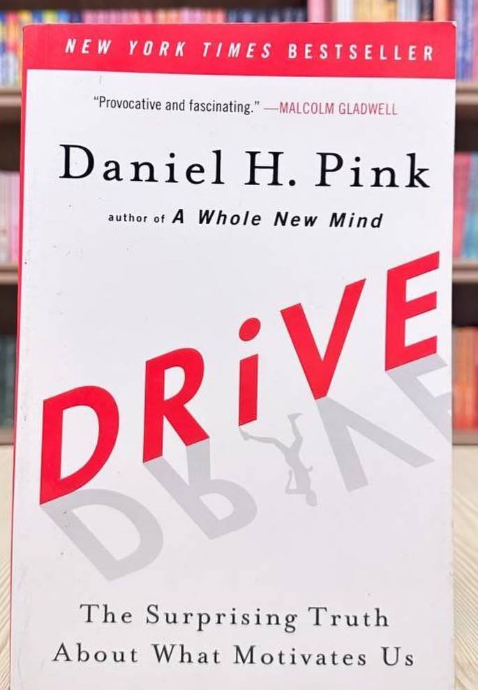 Drive: The Surprising Truth About What Motivates Us